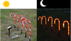 Candy Cane Solar Fairy Lights