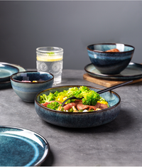 Japanese Retro Porcelain Tableware Set