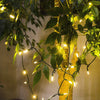 Waterproof Holiday Wedding String Lights