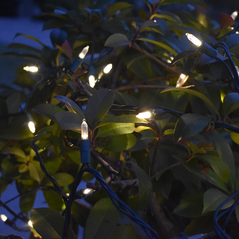 Waterproof Holiday Wedding String Lights