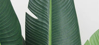 120cm Large Artificial Banana Tree: Green Plastic, Indoor, Tropical Theme, Home/Hotel/Office Decor.