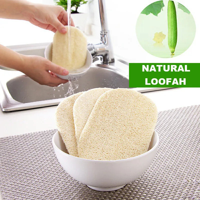 Eco Luffa Dishwashing Sponges