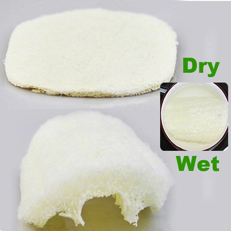 Eco Luffa Dishwashing Sponges