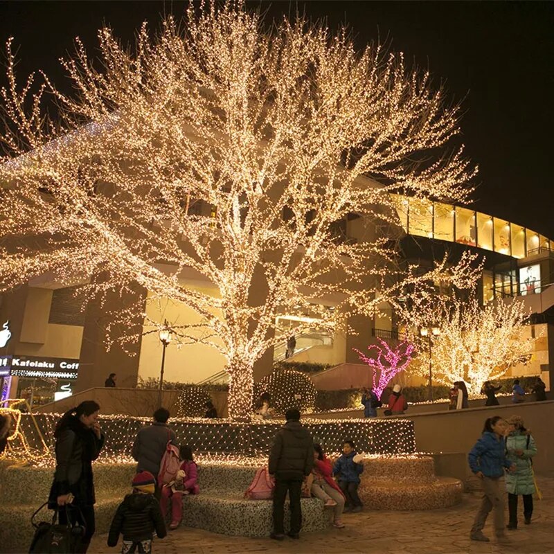 Festive Glow Lights