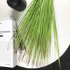 Tropical Onion Grass: Lifelike 60cm Paper Leaf Tree