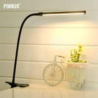 Clip-On LED Desk Lamp