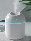 Portable Mist Maker