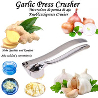 Stainless Steel Garlic Press