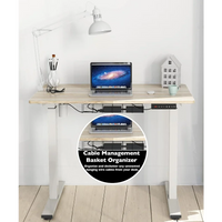 Maple Electric Standing Desk