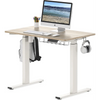 Maple Electric Standing Desk