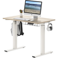 Maple Electric Standing Desk