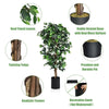 6ft Faux Ficus Silk Tree