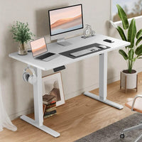 ErgoTech Electric Standing Desk