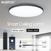 SmartGlow Ceiling Lamp