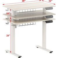 Maple Electric Standing Desk