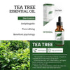 Tea Tree Moisturizer