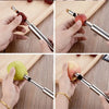 Stainless Steel Fruit Core Remover