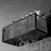 Stainless Steel Wall-Mounted Bathroom Shelf